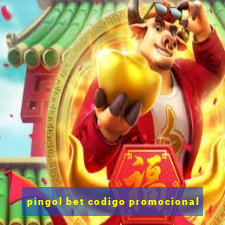 pingol bet codigo promocional